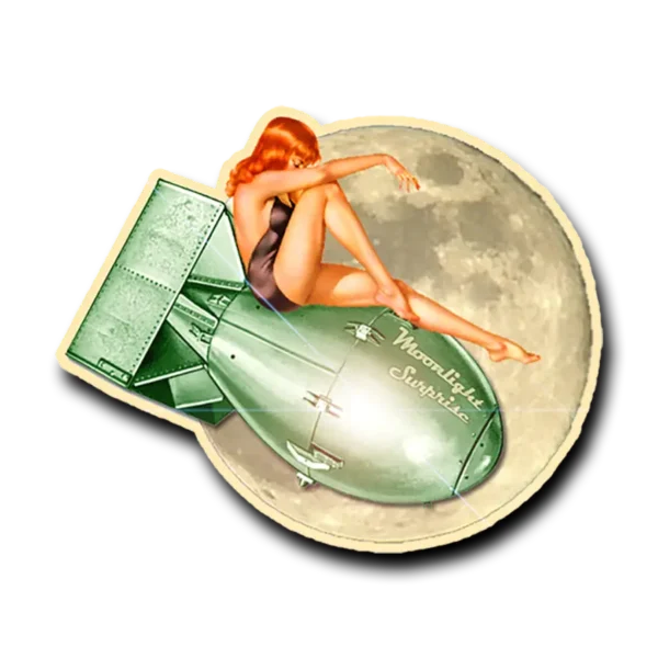 Moonlight Surprise
